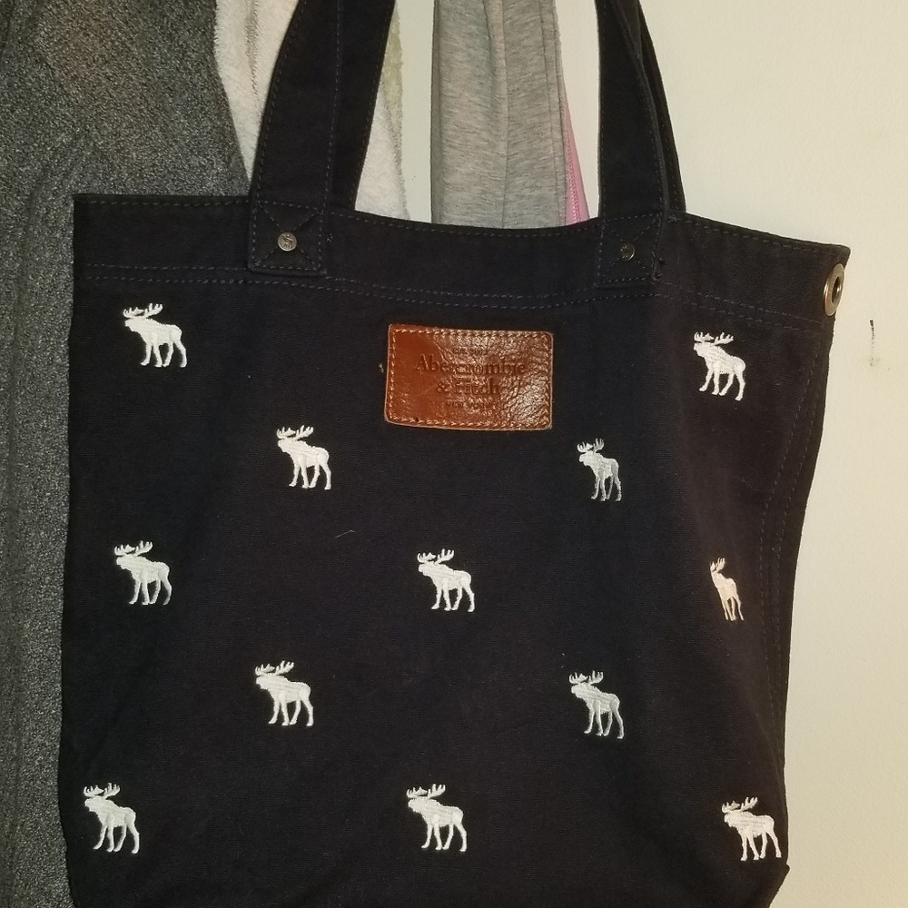 Abercrombie and fitch tote